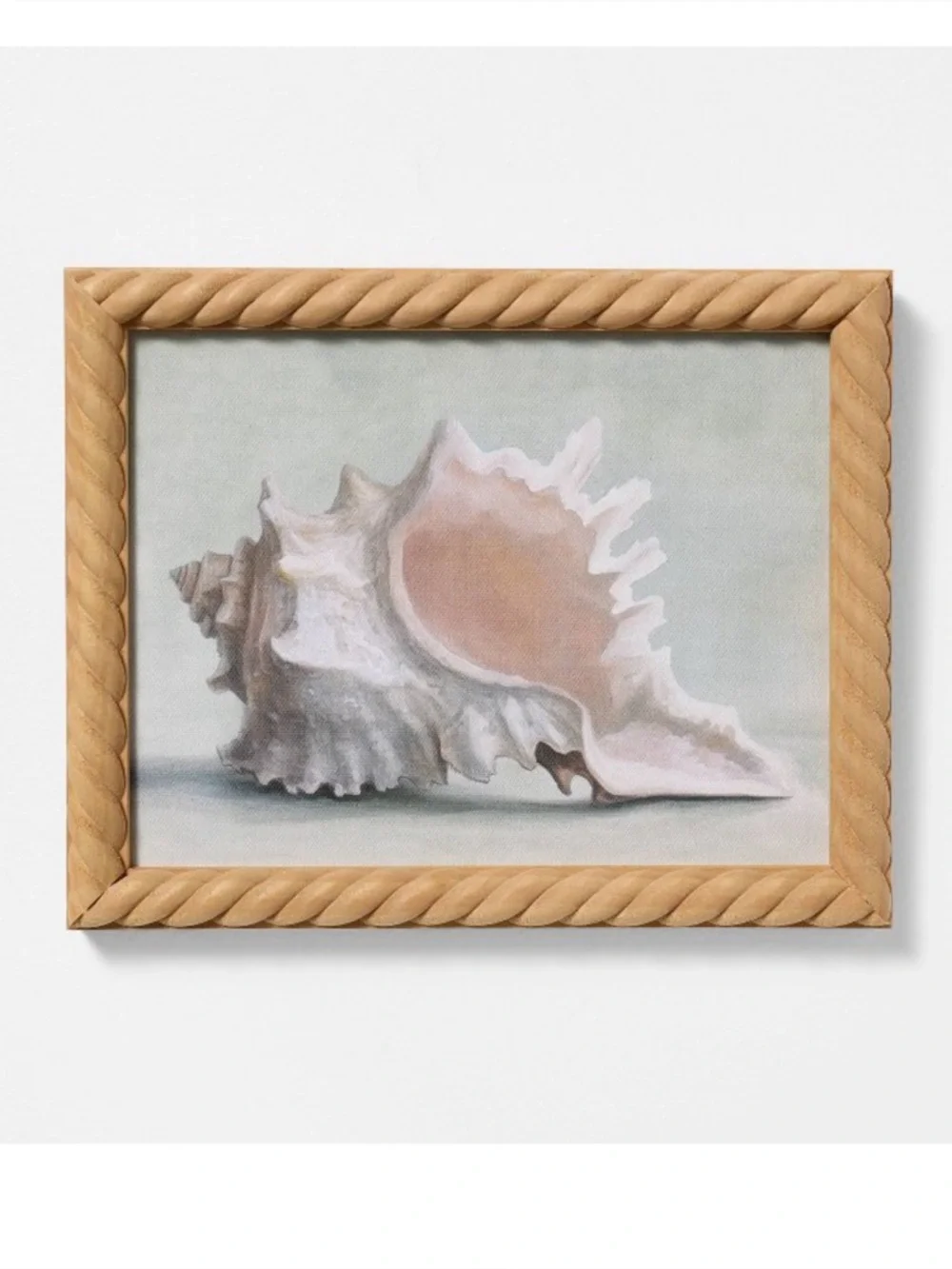 Threshold shell framed art